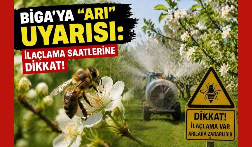 Biga’ya "Arı" uyarısı: İlaçlama saatlerine dikkat!