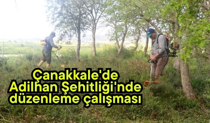 Çanakkale'de Adilhan Şehitliği'nde düzenleme çalışması