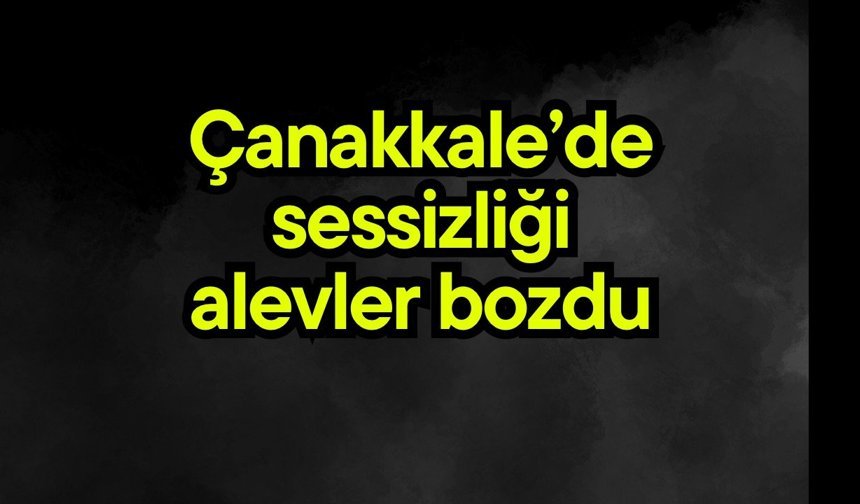 Çanakkale’de sessizliği alevler bozdu