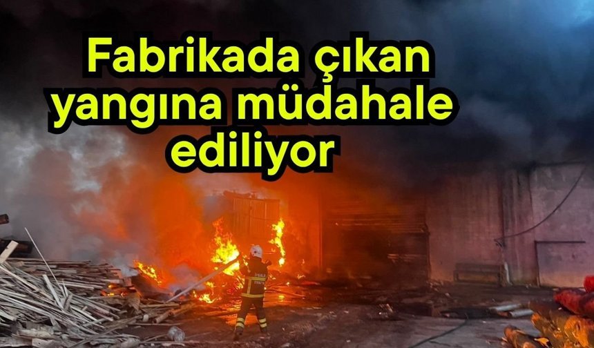 Fabrikada çıkan yangına müdahale ediliyor