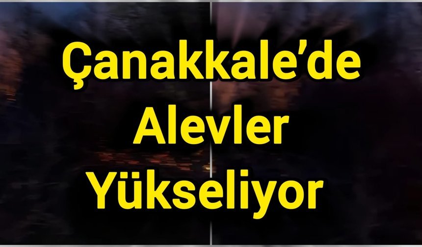 Çanakkale’de ormanlık alanda yangın!