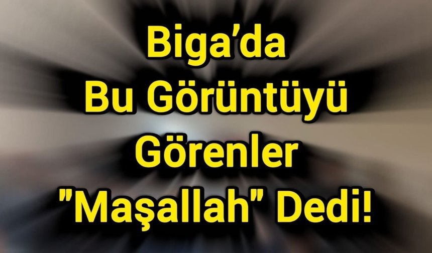 Biga’da Bu Görüntüyü Görenler “Maşallah” Dedi!