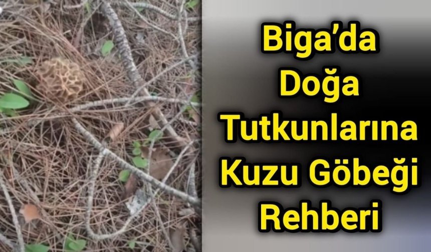 Biga’da Doğa Tutkunlarına Kuzu Göbeği Rehberi