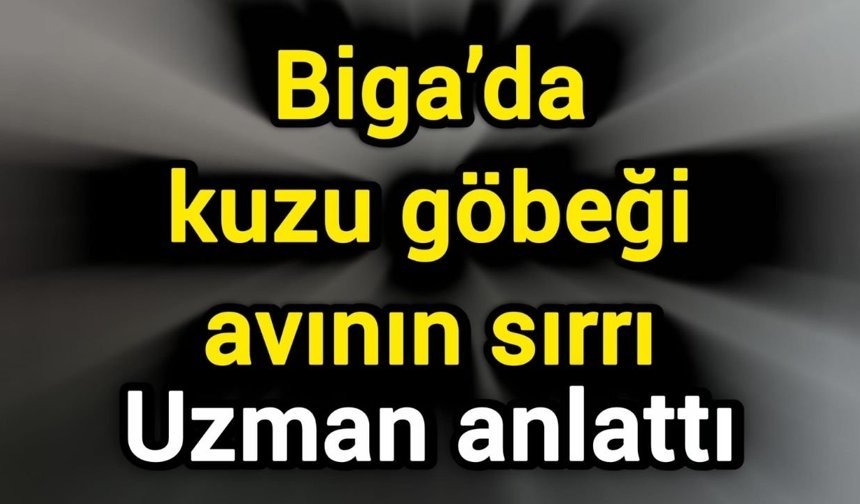 Biga’da kuzu göbeği avının sırrı: Uzman anlattı