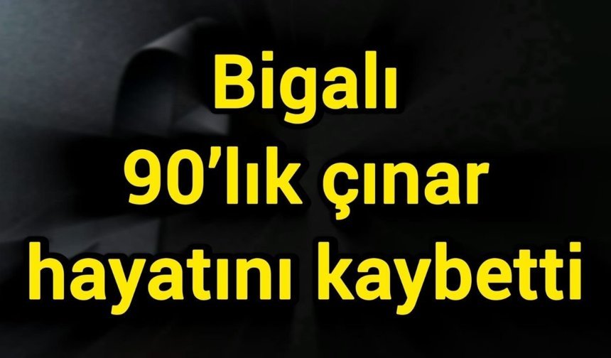 Bigalı 90’lık çınar hayatını kaybetti