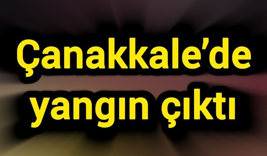 Çanakkale’de yangın çıktı