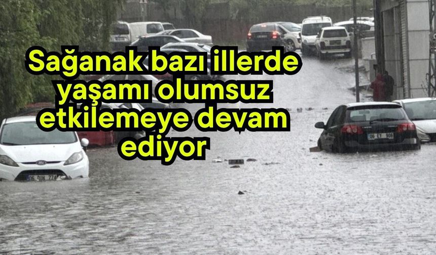 Sağanak bazı illerde yaşamı olumsuz etkilemeye devam ediyor