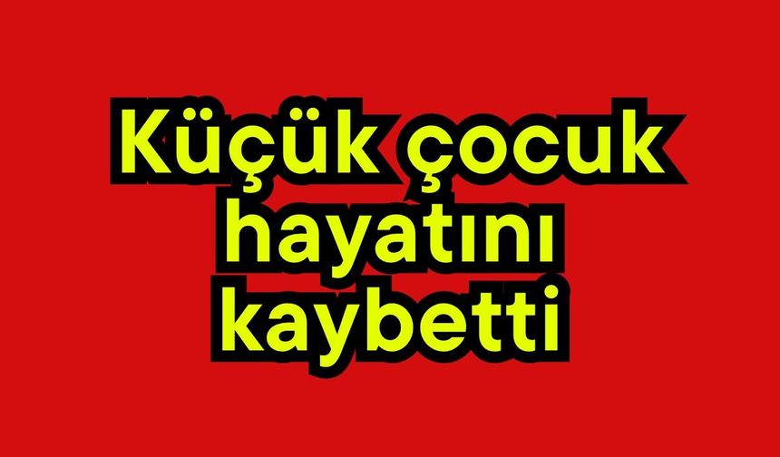 Küçük çocuk hayatını kaybetti