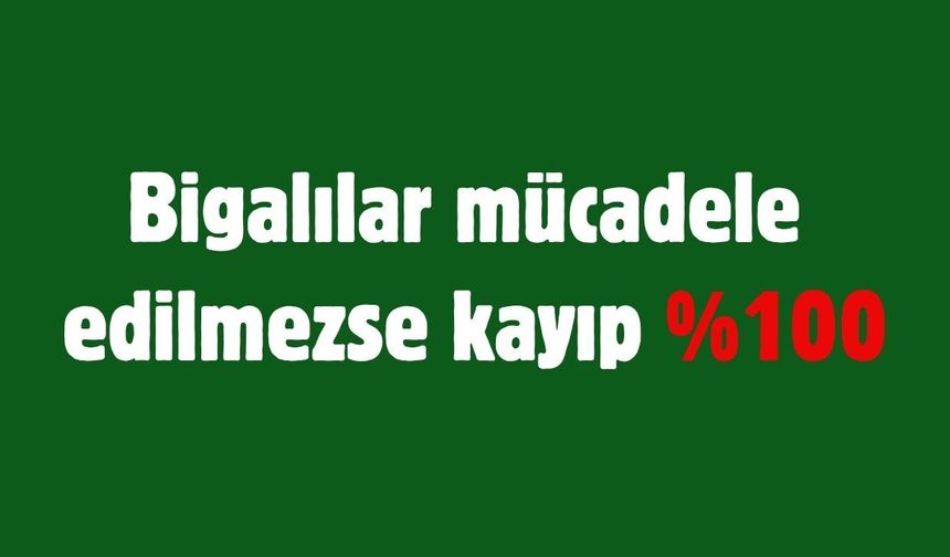 Bigalılar mücadele edilmezse kayıp %100