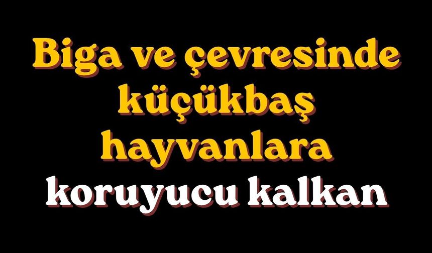 Biga ve çevresinde küçükbaş hayvanlara koruyucu kalkan