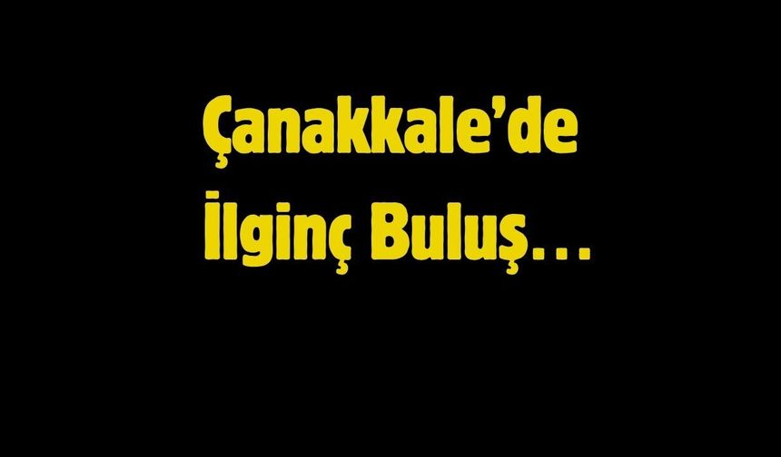 Güneş paneli taktığı elektrikli motosikletle "ücretsiz" yolculuk yapıyor