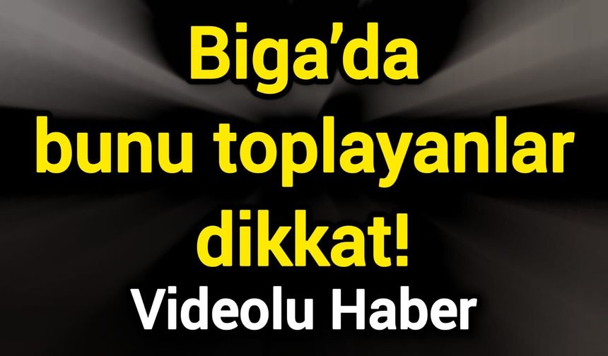 Biga’da bunu toplayanlar dikkat!