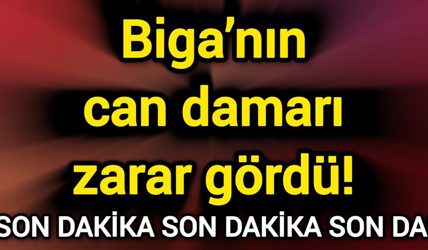 Biga’nın can damarı zarar gördü!
