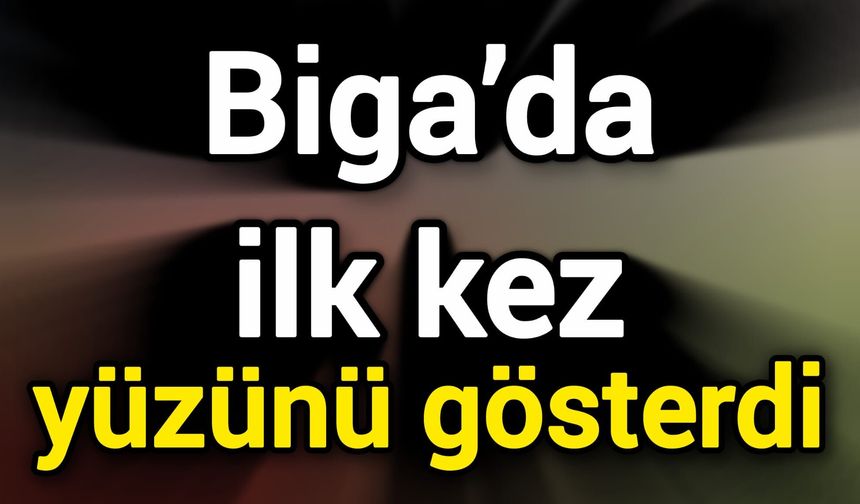 Biga’da ilk kez yüzünü gösterdi