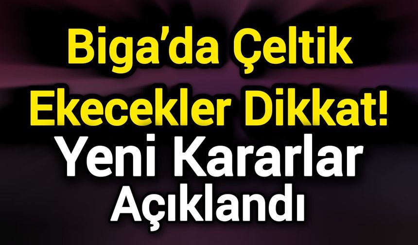 Biga’da Çeltik Ekecekler Dikkat! Yeni Kararlar Açıklandı