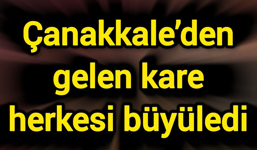 Çanakkale’den gelen kare herkesi büyüledi