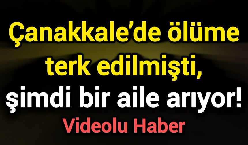 Çanakkale’de ölüme terk edilmişti, şimdi bir aile arıyor!