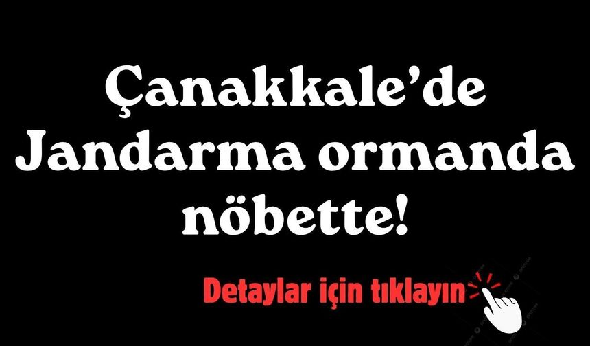 Çanakkale’de Jandarma ormanda nöbette!