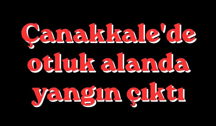 Çanakkale'de otluk alanda yangın çıktı