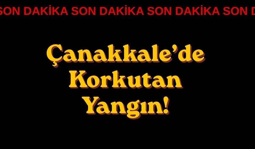 Çanakkale’de Korkutan Yangın!