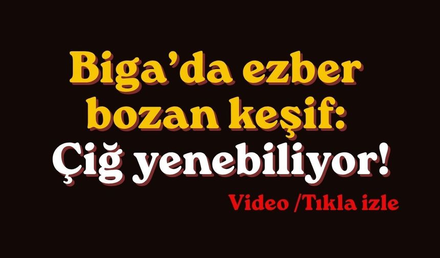 Biga’da ezber bozan keşif: Çiğ yenebiliyor!