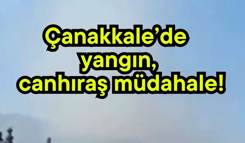 Çanakkale’de yangın, canhıraş müdahale!