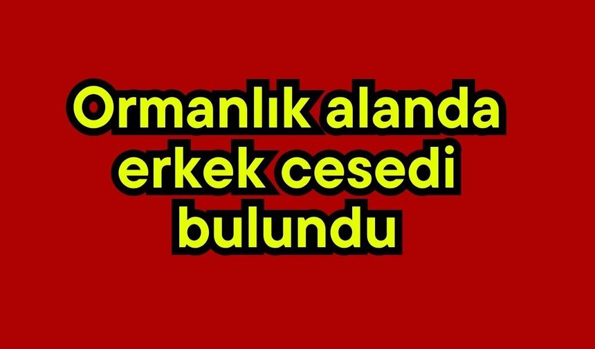 Ormanlık alanda erkek cesedi bulundu