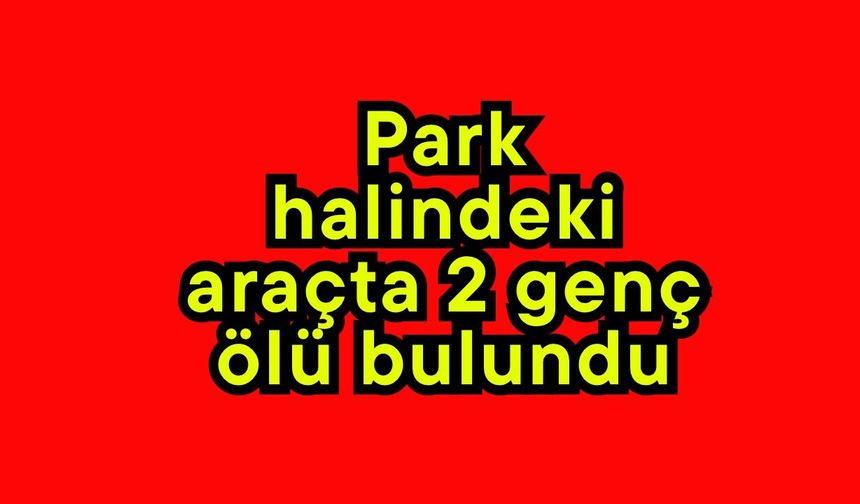 Park halindeki araçta 2 genç ölü bulundu