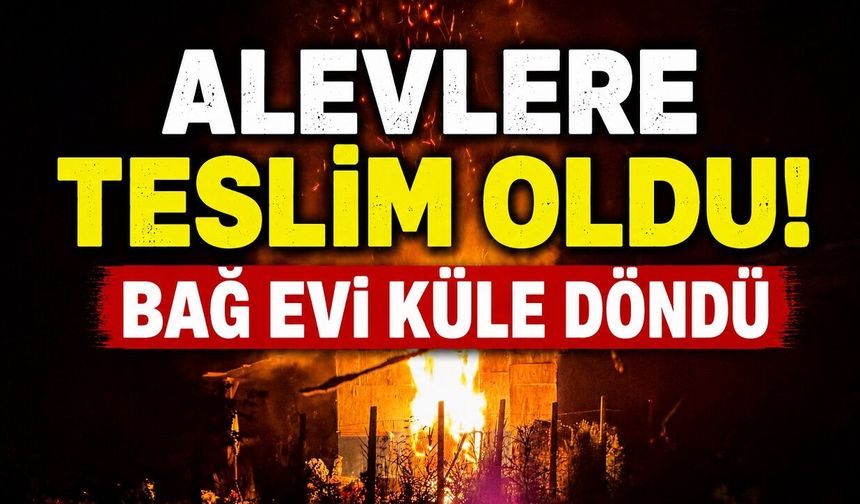 Alevlere Teslim Oldu! Bağ Evi Küle Döndü
