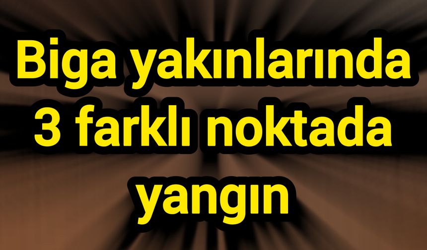 Biga yakınlarında 3 farklı noktada yangın