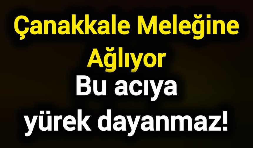 Çanakkale Meleğine Ağlıyor! Bu acıya yürek dayanmaz