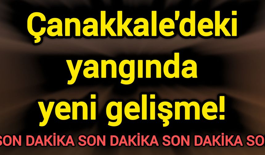 Çanakkale'deki yangında yeni gelişme!