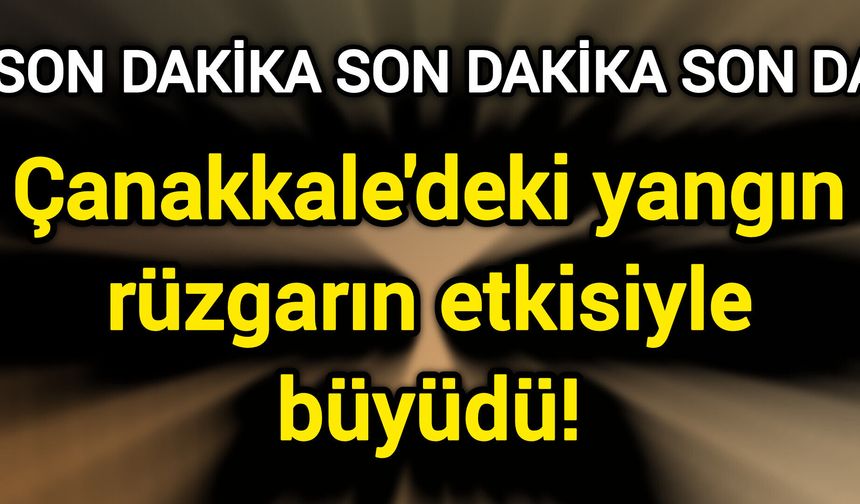 Çanakkale'deki yangın rüzgarın etkisiyle büyüdü!