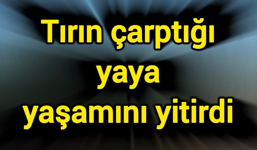 Tırın çarptığı yaya yaşamını yitirdi