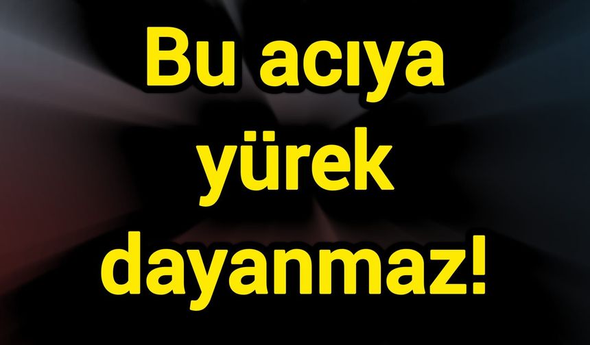 Bu acıya yürek dayanmaz!