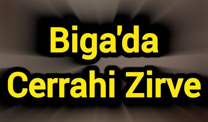 Biga'da Cerrahi Zirve