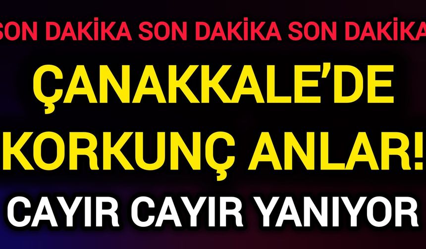 Çanakkale’de Korkunç Anlar! Cayır cayır yanıyor