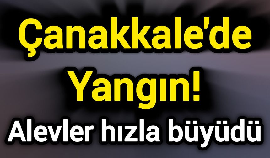 Çanakkale'de Yangın! Alevler hızla büyüdü