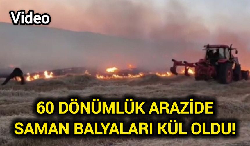 60 dönümlük arazide saman balyaları kül oldu!