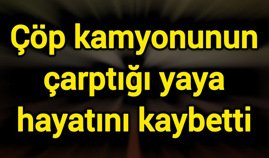 Çöp kamyonunun çarptığı yaya hayatını kaybetti