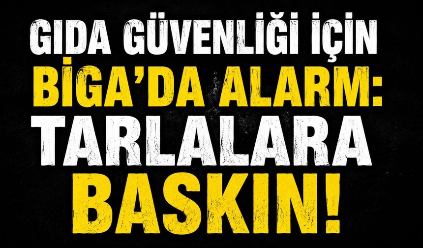 Gıda güvenliği için Biga'da alarm: Tarlalara baskın!
