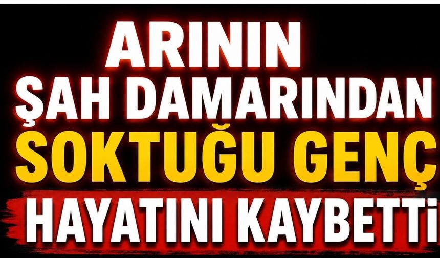 Arının Şah Damarından Soktuğu Genç Hayatını Kaybetti