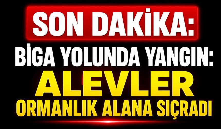 SON DAKİKA: Biga Yolunda Yangın: Alevler Ormanlık Alana Sıçradı