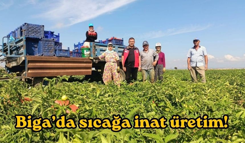 Biga’da sıcağa inat üretim!