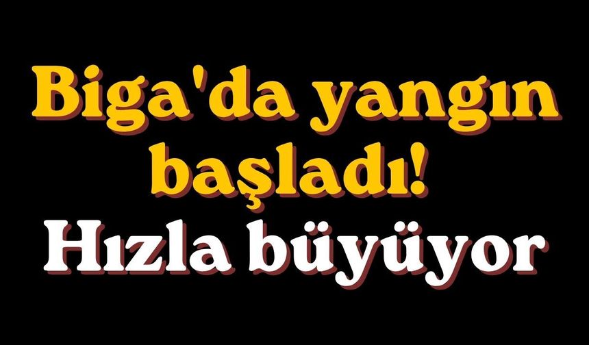 Biga'da yangın başladı! Hızla büyüyor