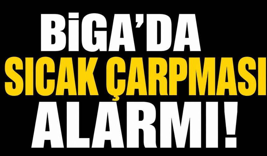Biga'da sıcak çarpması alarmı!