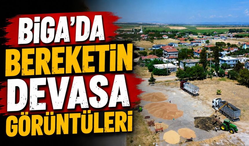 Biga’da Bereketin Devasa Görüntüleri