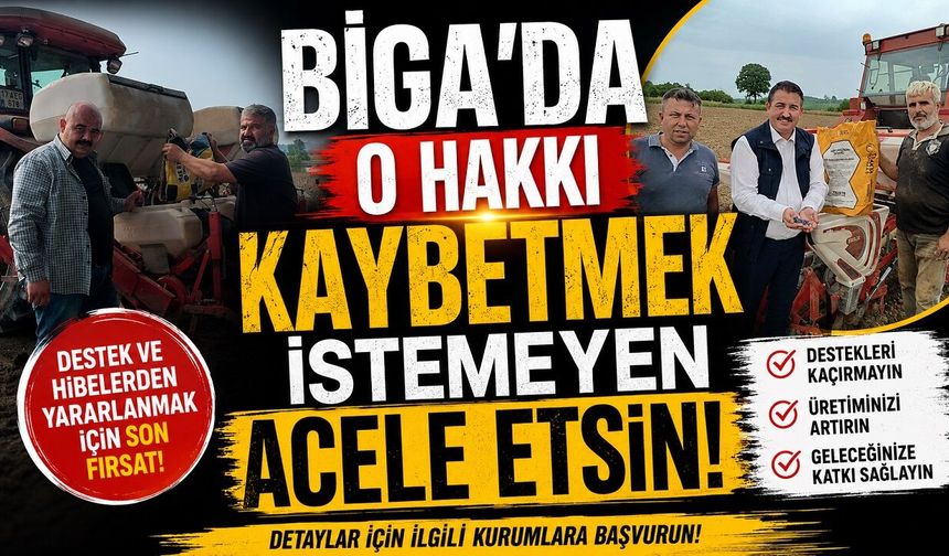 Çanakkale Biga'da o hakkı kaybetmek istemeyen acele etsin!