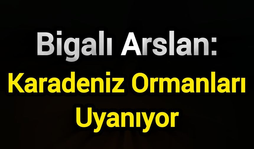 Bigalı Arslan: Karadeniz Ormanları Uyanıyor
