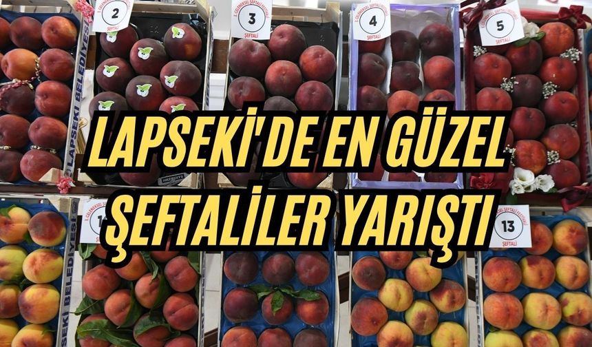 Lapseki'de en güzel şeftaliler yarıştı
